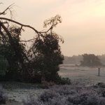 Vogelgeluidencursus bij De Roek op de Veluwe