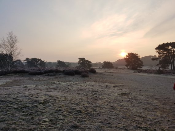 Vogelgeluidencursus bij De Roek op de Veluwe