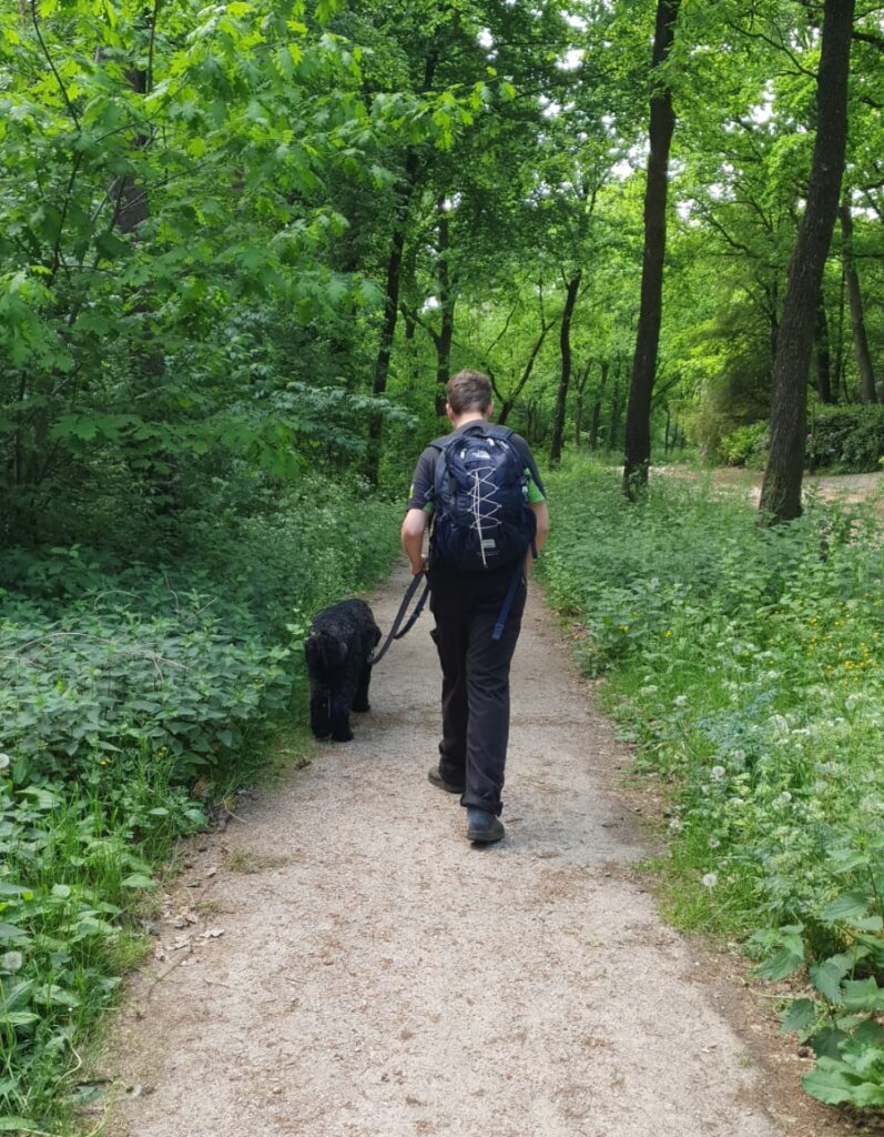 Hondenuitlaatservice op bungalowpark De Roek