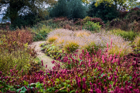 Beleef de herfst in de prachtige tuinen van Appeltern