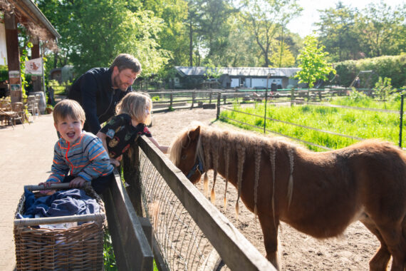 Voordelig op vakantie naar de Veluwe: bungalowpark met korting