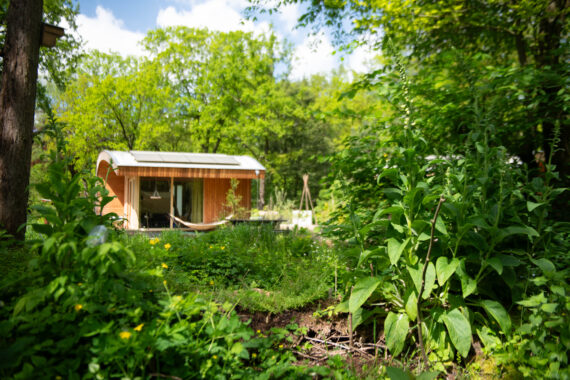 Uniek Overnachten in een Tiny House op de Veluwe – Midden in de Natuur!