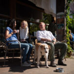 Honden zijn welkom op de Roek!