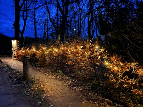 Lichtjeswandeling Otterlo 2025