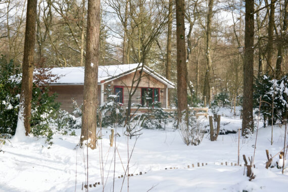 Hoeveel weet jij al over de winter? -Quiz